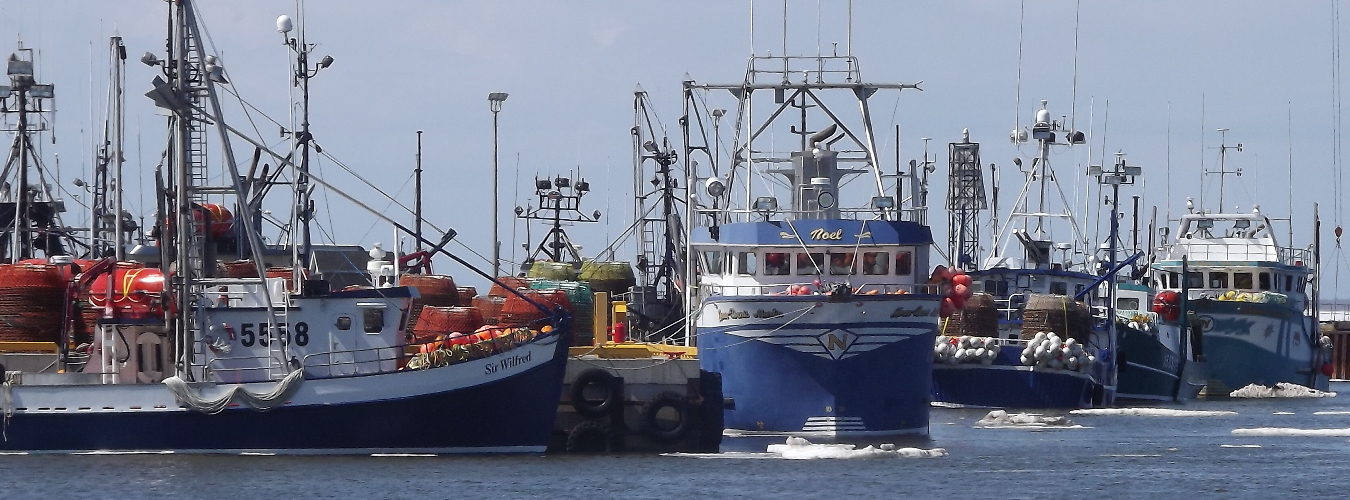 Administration portuaire de Shippagan